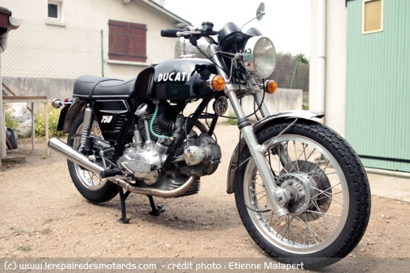 Toute en rondeurs. Phare, poignées, carters, réservoir. Et même les roues !