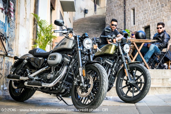 Harley-Davidson Roadster et Forty-Eight