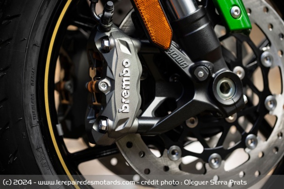 Les étriers monobloc Brembo M4.32 apportent plus de mordant à la version SE