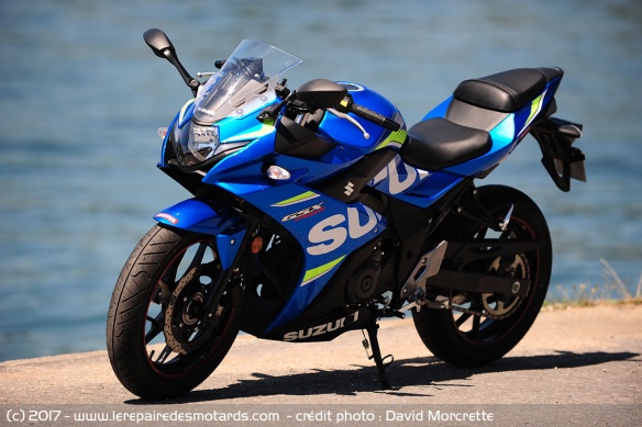 Suzuki GSX250R