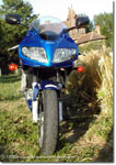 Suzuki SV 1000 S