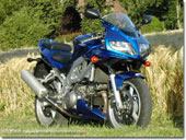 Suzuki SV 1000 S