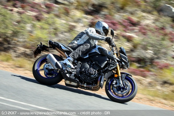 Yamaha MT-10 SP & Tourer Edition sur nationale