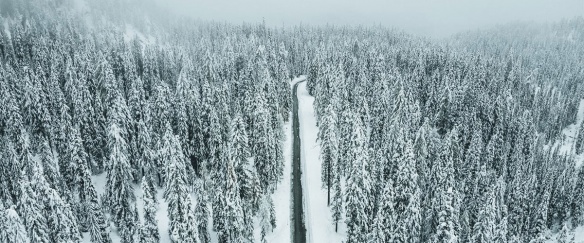 En string dans une tempête de neige (c) photo : Jesse