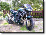 Bandit 1200 - Christelle B.