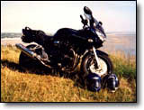 Bandit 1200 - Cyril R.