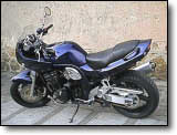 Bandit 1200 - Mike