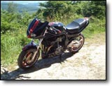 Bandit 1200 - Steeve