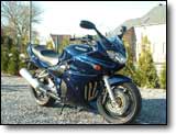 Bandit 1200 - Steven