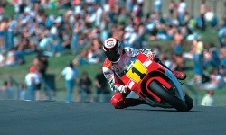 Pilote de légende : Wayne Rainey (photo : DR)