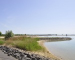 Plage au lac du Der-Chantecoq (c) Prosopee