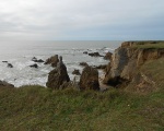 La cte sauvage du Pouliguen (c) OI-13-n.heras