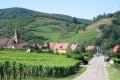 Route le long des vignes