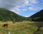 Valle glacire du Fossat Forez (c) Didiervberghe BY 3.0