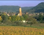 Arbois