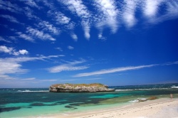 Ile Rottnest australienne