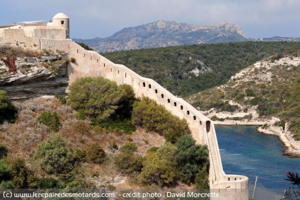 Les remparts de Bonifacio au dessus du port