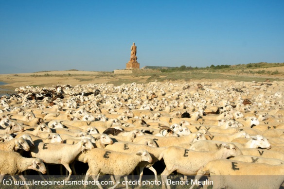 Les Bardenas (Espagne) : un haut lieu de transhumance