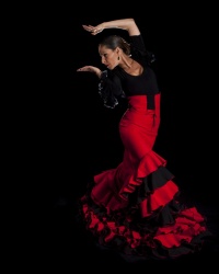 Danseuse de flamenco