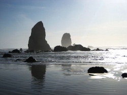 Côte Pacifique de l'Oregon (Photo : Michael Theberge)