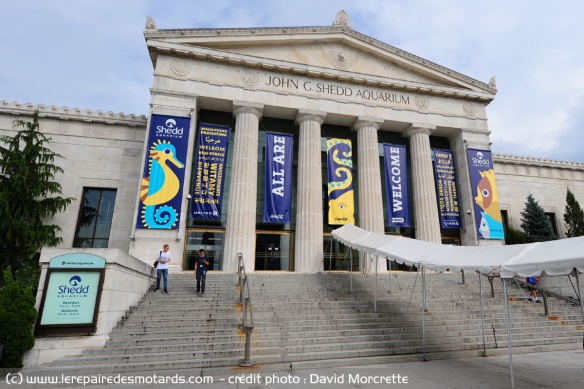 Le Shedd Aquarium