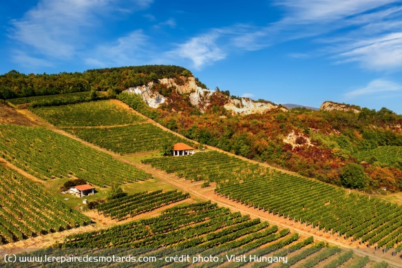 La région viticole de Tokaj