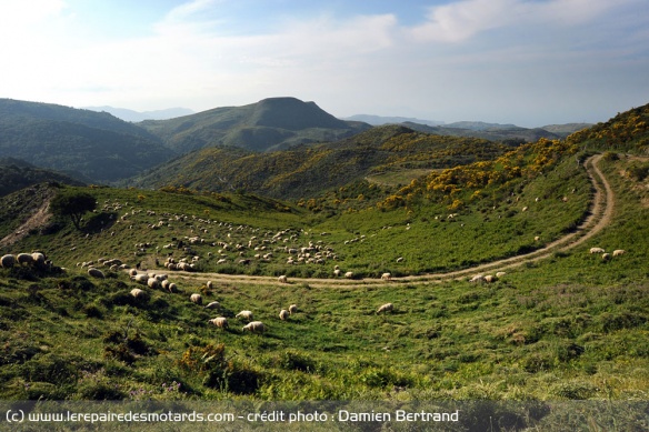 Le trajet est jalonné de routes tortueuses, de villages typiques et de troupeaux de moutons