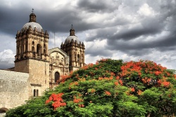 Temple et ancien couvent de Santo Domingo de Guzmán, dans le centre historique de la ville d'Oaxaca (Mexique). L'Église et l'ancien couvent de Santo Domingo de Guzmán, Oaxaca