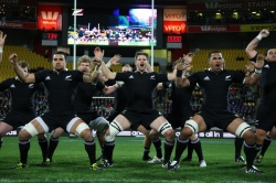 Le Haka des All Blacks