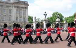 Garde Royale de Buckingham Palace 