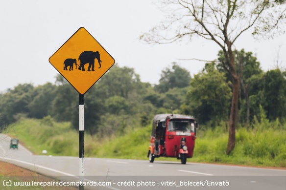 Sri Lanka : Code de la route